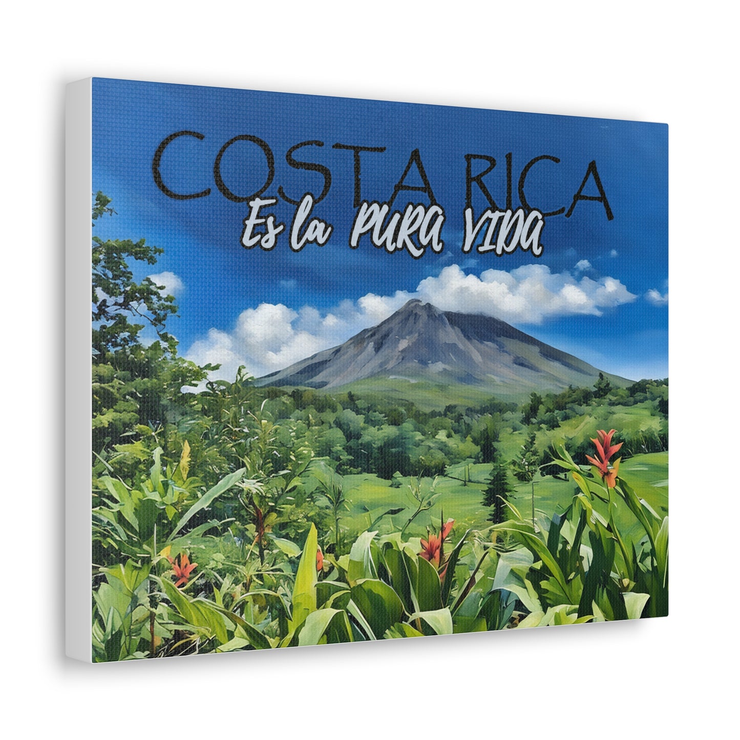 "Costa Rica es la Pura Vida" Canvas Gallery Wraps